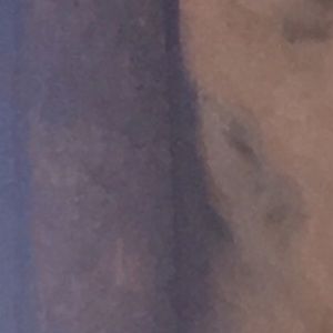 Meet your Posher, Austin